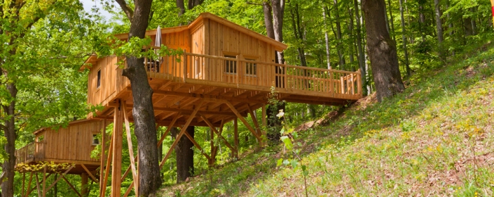 Das Baumhaushotel Urlaub in der Natur 